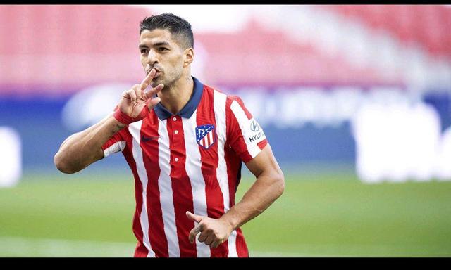 对拳迷而言 对拳迷而言